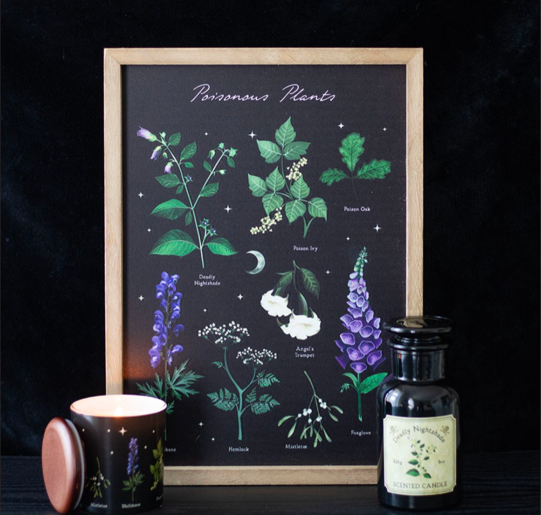 Poisonous Plants Framed Wall Art Print